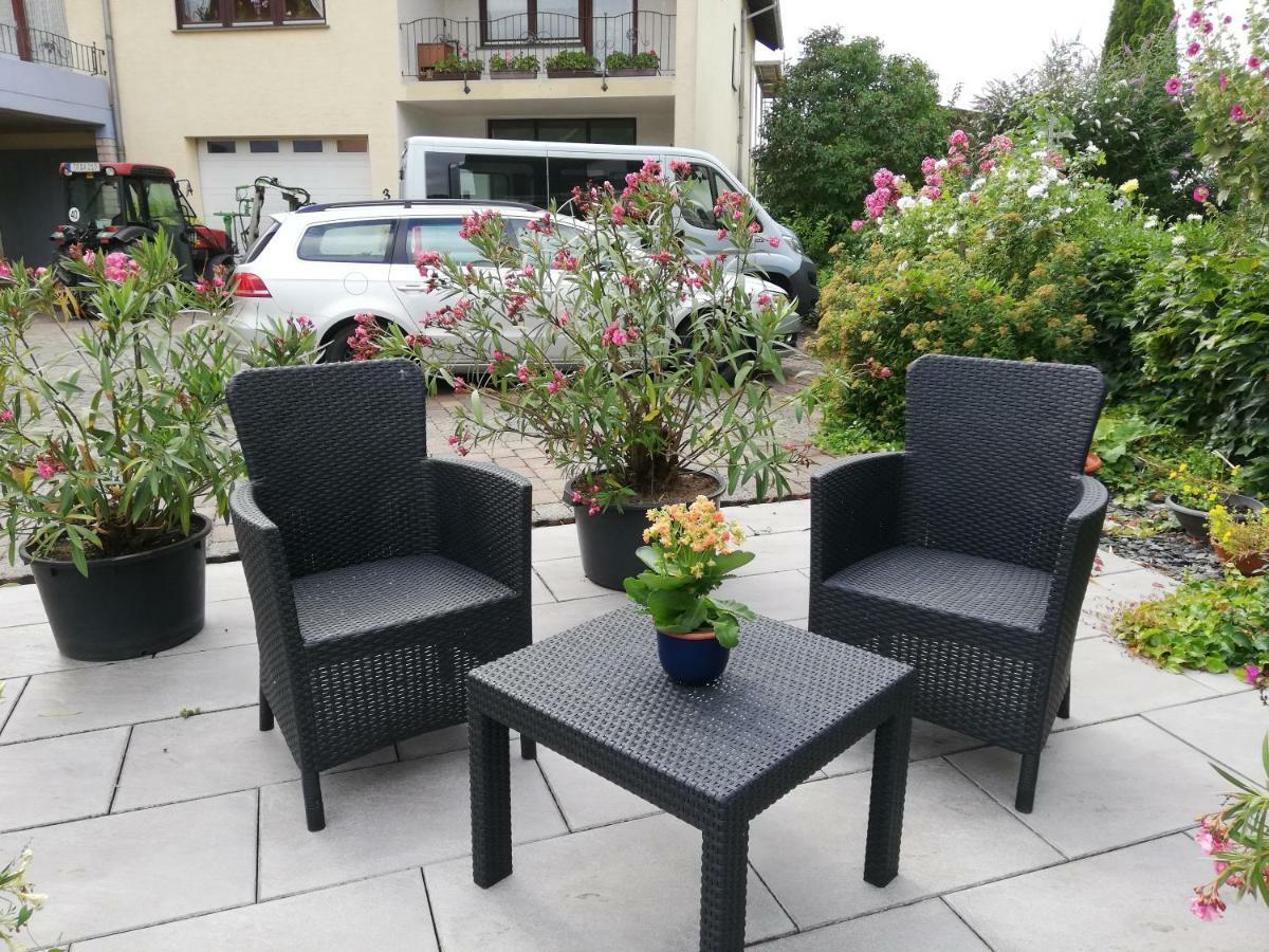 Wein-Und Gaestehaus Alfons Bollig Trittenheim Esterno foto